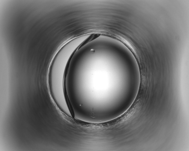 X0000096451050200801241415