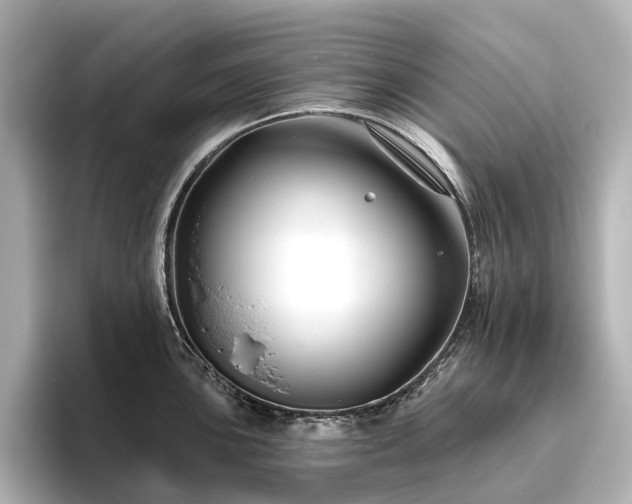 X0000096451051200801241415