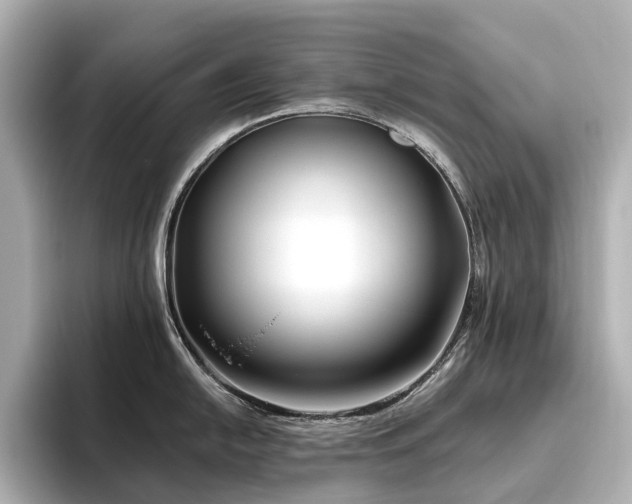 X0000096451054200801241415