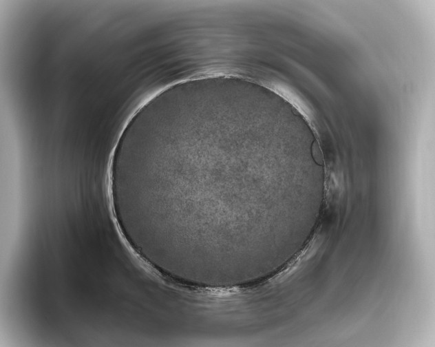 X0000096451055200801241415