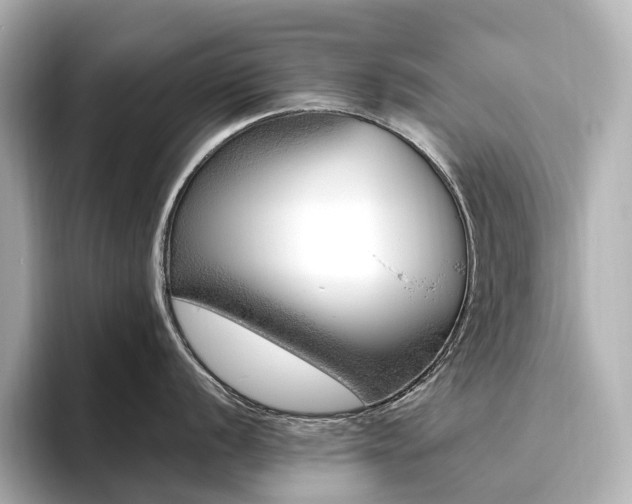 X0000096451056200801241415