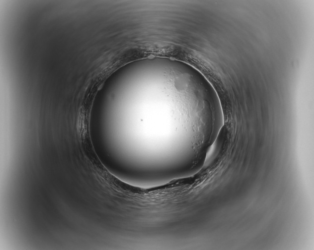 X0000096451058200801241414