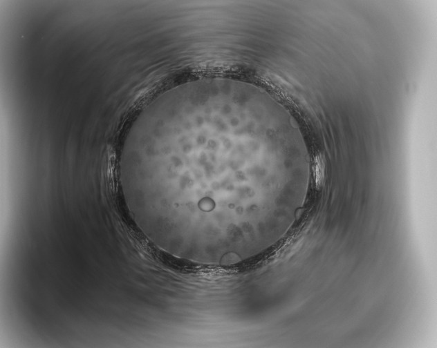 X0000096451059200801241414