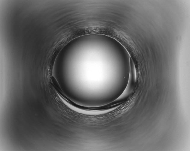 X0000096451060200801241414