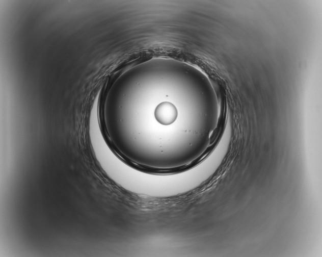X0000096451061200801241414