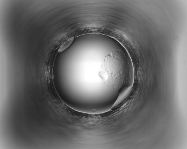 X0000096451062200801241414