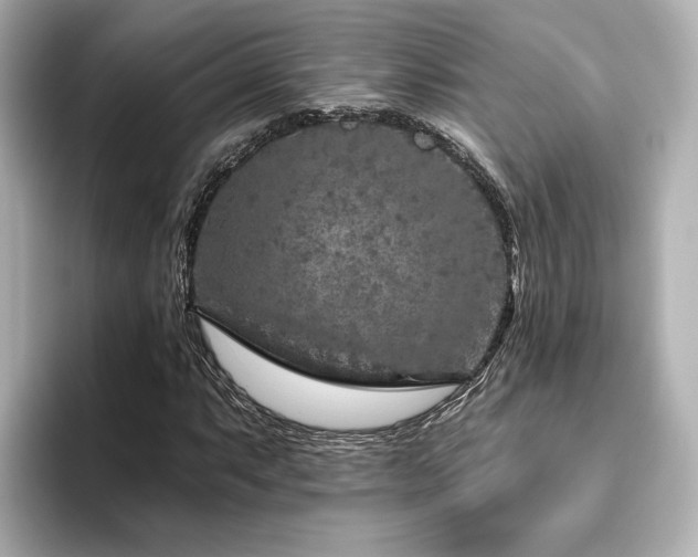 X0000096451063200801241414