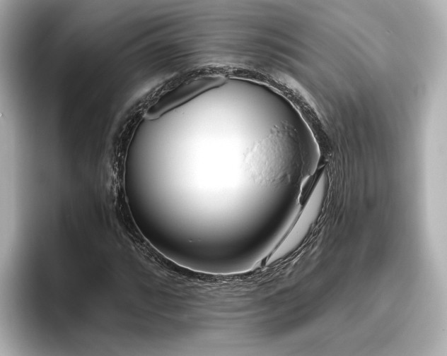 X0000096451064200801241414