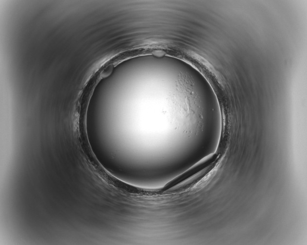 X0000096451066200801241414