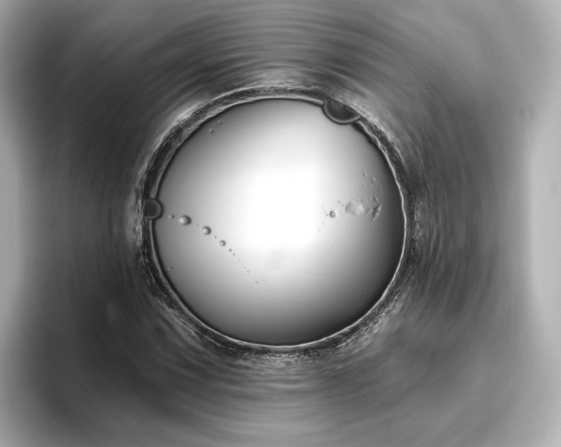 X0000096451067200801241414
