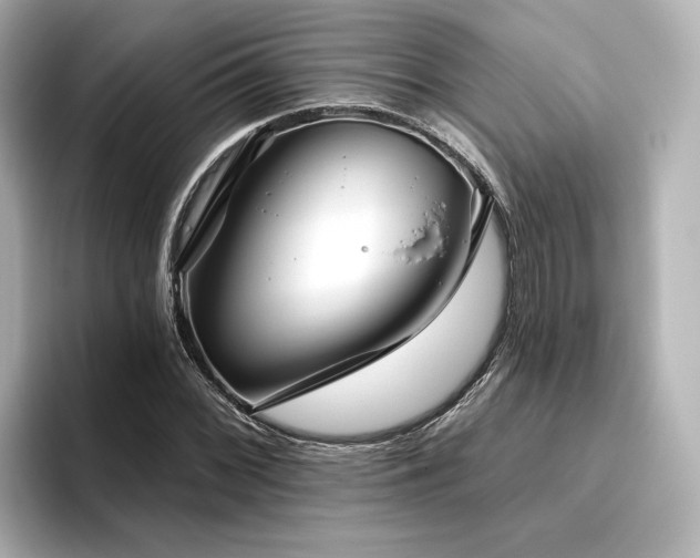 X0000096451068200801241414