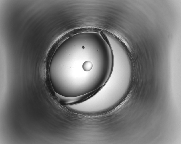 X0000096451069200801241414