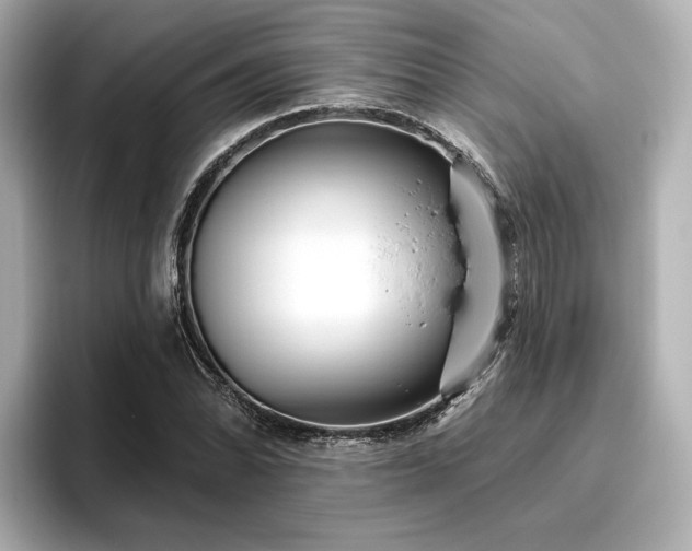 X0000096451070200801241414