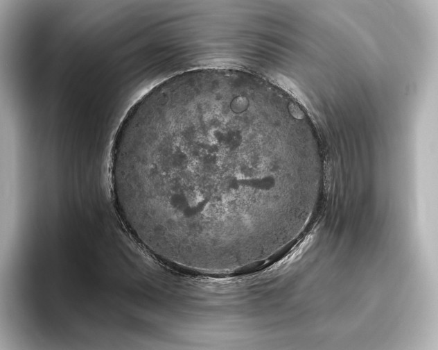X0000096451071200801241414