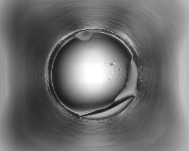 X0000096451072200801241414