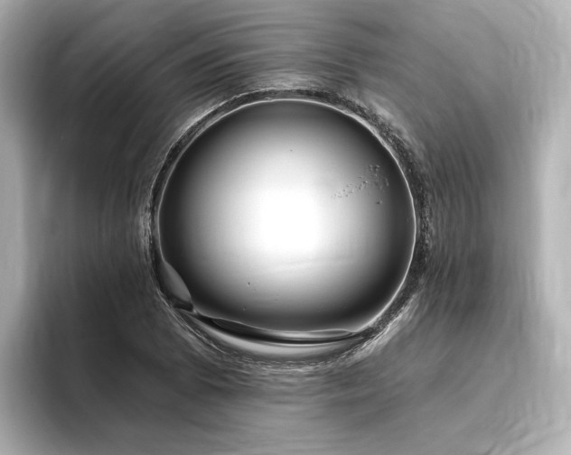 X0000096451073200801241414