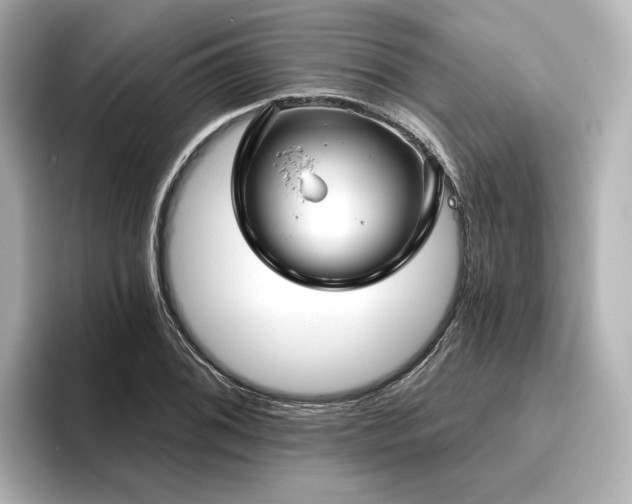 X0000096451076200801241414