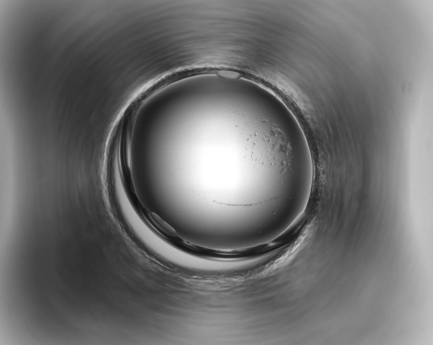 X0000096451077200801241414