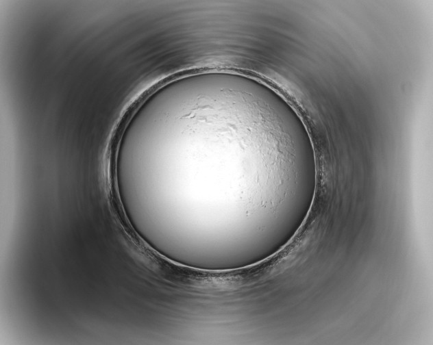 X0000096451078200801241414