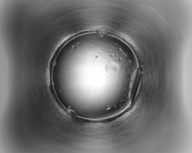 X0000096451079200801241414