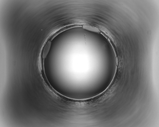 X0000096451080200801241414