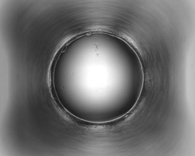 X0000096451082200801241414