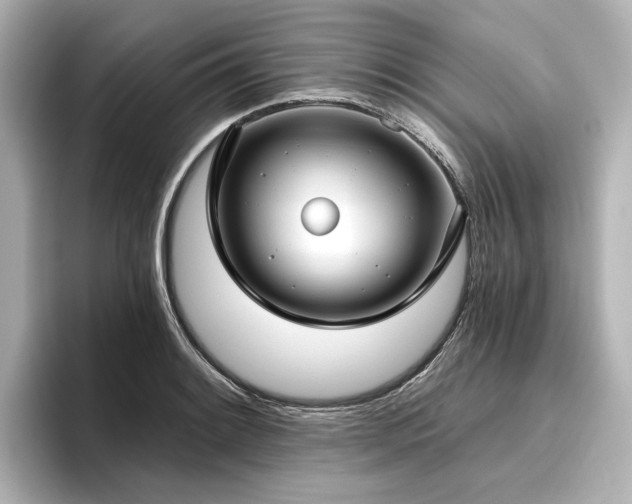 X0000096451084200801241414