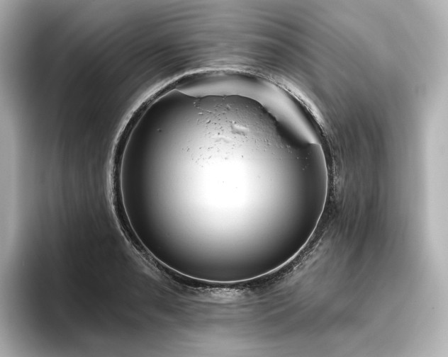 X0000096451085200801241414