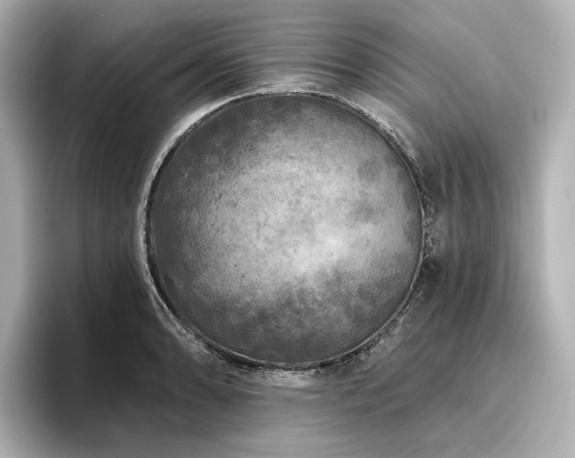 X0000096451086200801241414