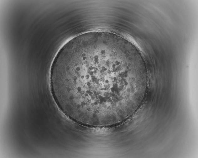 X0000096451087200801241414