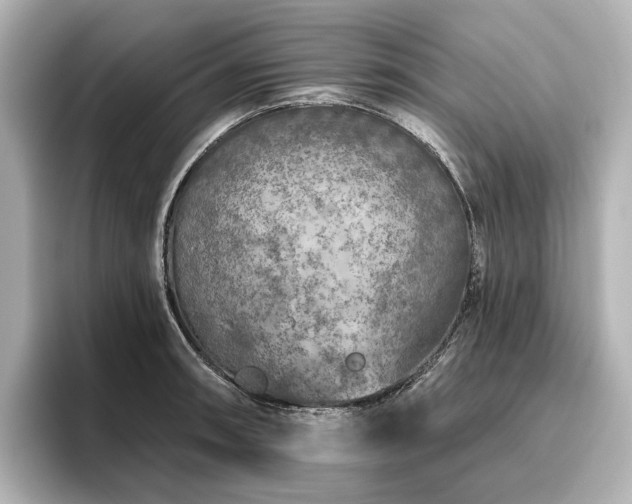 X0000096451090200801241414