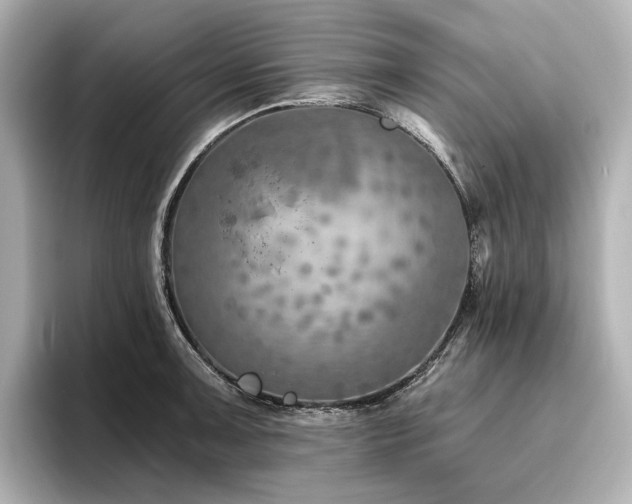 X0000096451091200801241414
