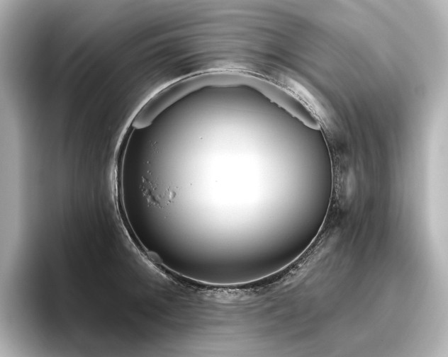 X0000096451092200801241414