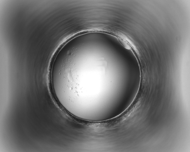 X0000096451093200801241414