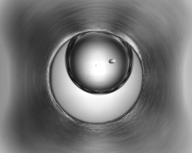 X0000096451096200801241414