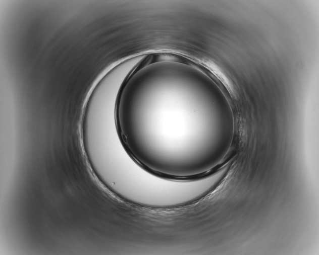 X0000096451100200801241413