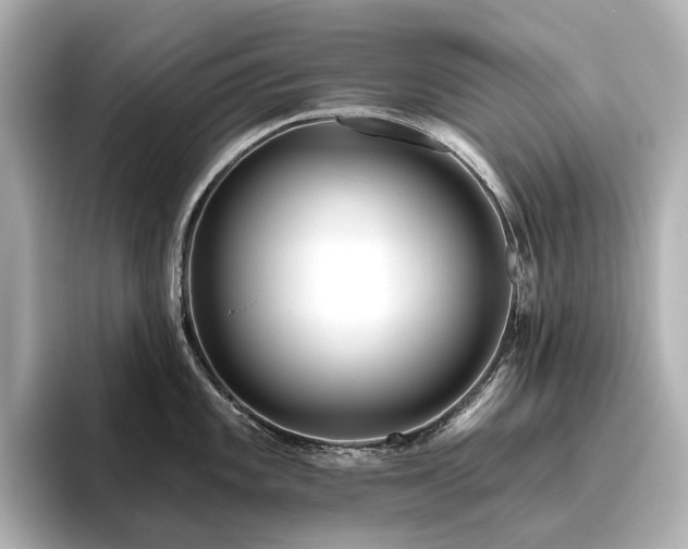 X0000096451101200801241413