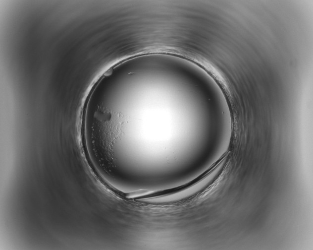 X0000096451102200801241413