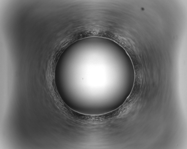 X0000096451105200801241413
