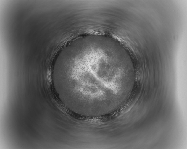 X0000096451106200801241413