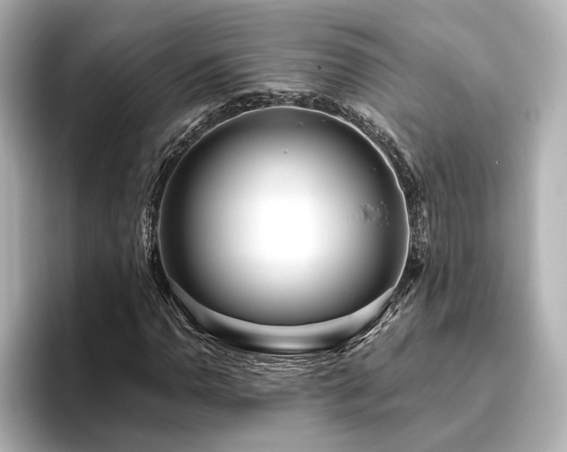 X0000096451110200801241413