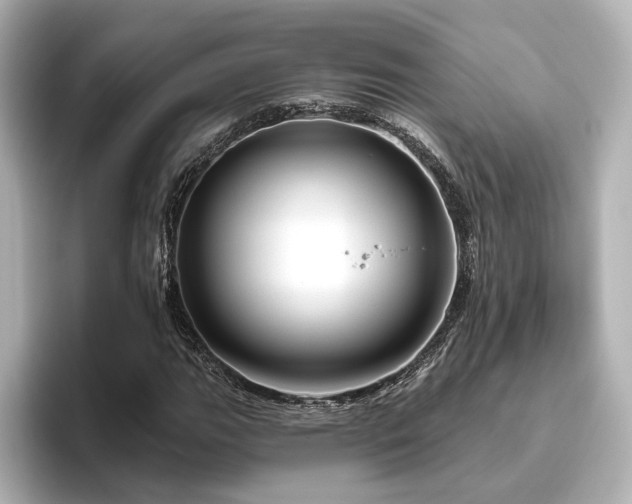 X0000096451111200801241413