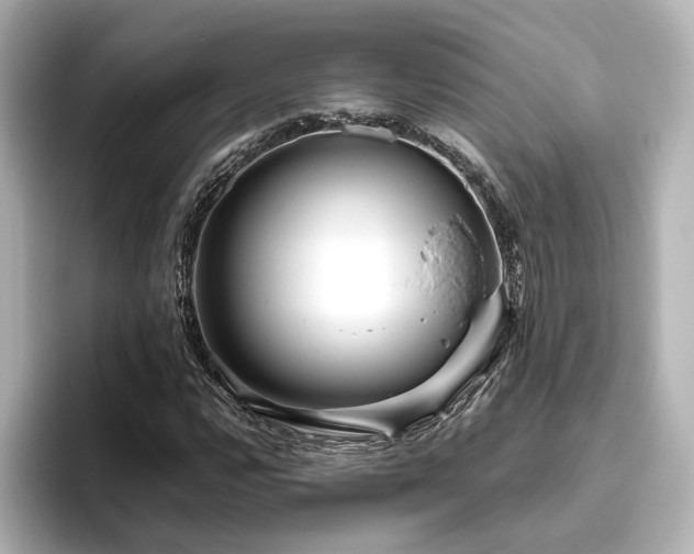 X0000096451112200801241413