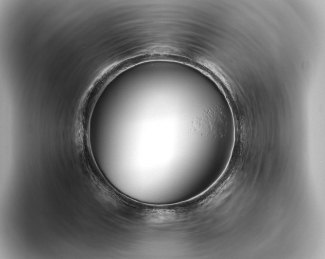 X0000096451115200801241413