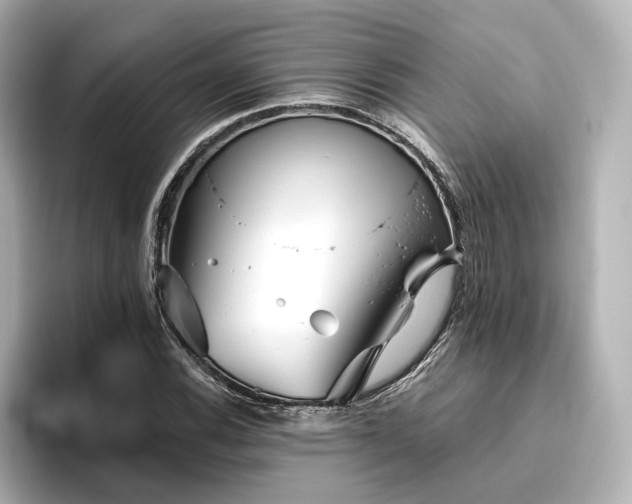 X0000096451116200801241413