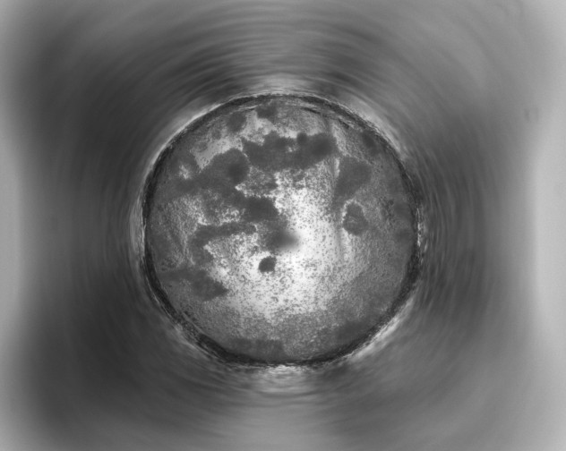X0000096451117200801241413