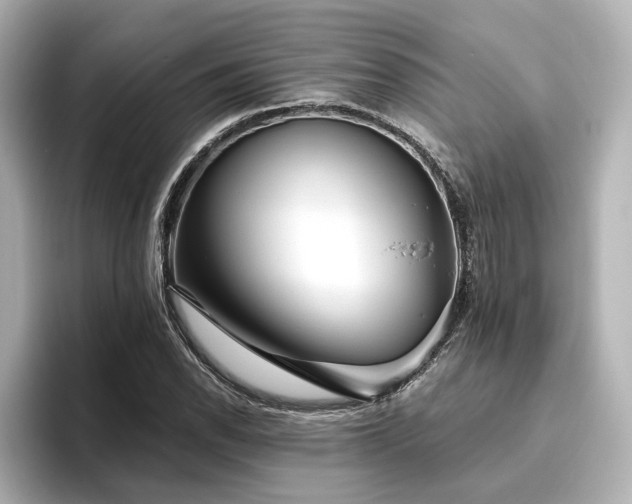 X0000096451118200801241413