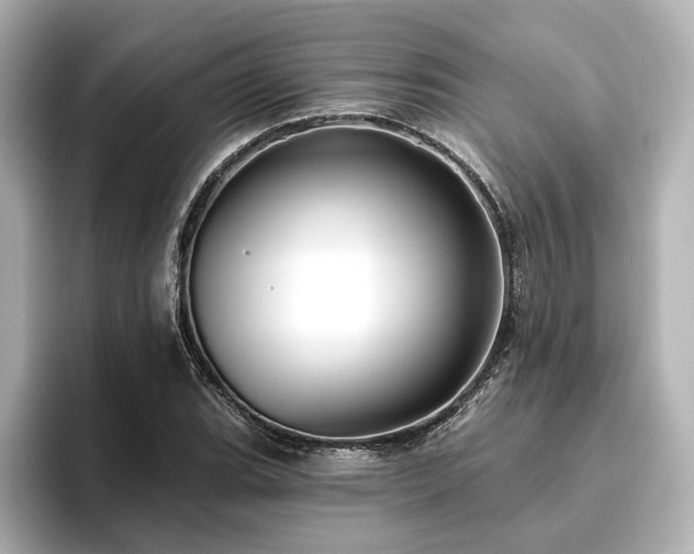 X0000096451119200801241413