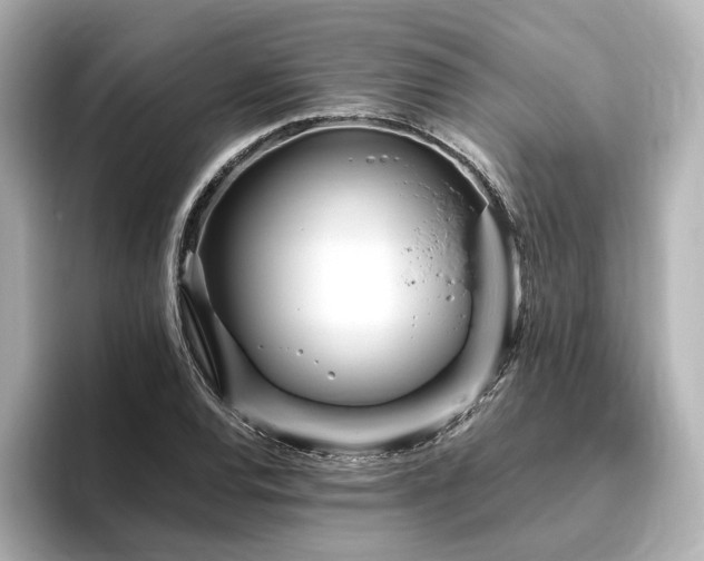 X0000096451120200801241413