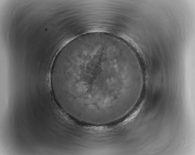 X0000096451121200801241413